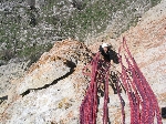 /Rocher/2005/Images/418/PetitFelix025Icon.jpg