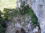 /Rocher/2005/Images/421/Image15Icon.JPG