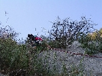 /Rocher/2005/Images/423/Image10Icon.JPG