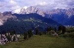 /Rocher/2005/Images/435/IM10038800MaxIcon.jpg