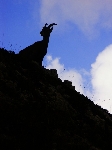 /Rocher/2005/Images/447/Image40Icon.JPG