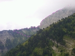 /Rocher/2005/Images/447/Image46Icon.JPG