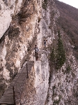 /Rocher/2007/Images/481/neron011Icon.jpg