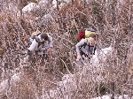 /Rocher/2007/Images/481/neron012Icon.jpg