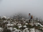 /Rocher/2007/Images/481/neron026Icon.jpg