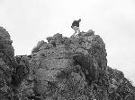 /Rocher/2007/Images/481/neron051Icon.jpg