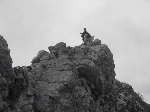 /Rocher/2007/Images/481/neron056Icon.jpg