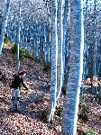 /Rocher/2007/Images/482/MontAiguille041Icon.jpg