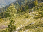 /Rocher/2007/Images/502/Tournette021Icon.jpg