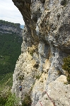 /Rocher/2009/Images/529/Presles00027Icon.jpg