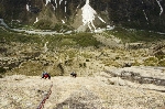 /Rocher/2009/Images/533/Camox00023Icon.jpg