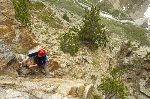 /Rocher/2009/Images/533/Camox00085Icon.jpg