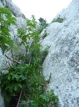 /Rocher/2010/Images/551/P1050324Icon.JPG