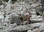 /Rocher/2010/Images/554/P1050493Icon.JPG