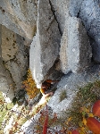 /Rocher/2010/Images/556/P1060536_1Icon.JPG