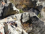 /Rocher/2010/Images/557/P1060586_1Icon.JPG