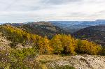 /Rocher/2015/Images/603/_MG_2493Icon.jpg