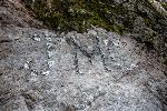 /Rocher/2020/Images/620/P1040798Icon.jpg