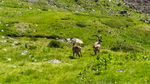 /Rocher/2024/Images/2624/IMG_20240714_101327_1Icon.jpg