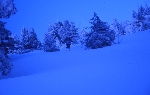 /Ski/2004/Images/1108/File0001Icon.jpg