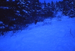 /Ski/2004/Images/1108/File0006Icon.jpg