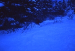 /Ski/2004/Images/1108/File0007Icon.jpg