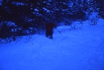 /Ski/2004/Images/1108/File0008Icon.jpg