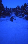 /Ski/2004/Images/1108/File0009Icon.jpg