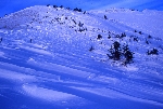 /Ski/2004/Images/1113/File0011Icon.jpg