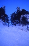 /Ski/2004/Images/1113/File0021Icon.jpg