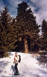 /Ski/2004/Images/1119/Val0017Icon.jpg