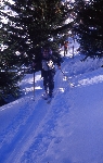 /Ski/2004/Images/1121/File0002Icon.jpg