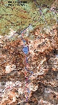 /Ski/2004/Images/1123/TeteNHomme16Icon.jpg