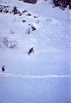 /Ski/2004/Images/1126/File0020Icon.jpg