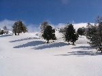 /Ski/2004/Images/1129/Paneyron09Icon.jpg