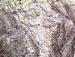 /Ski/2004/Images/1129/Paneyron11Icon.jpg