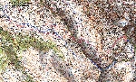 /Ski/2004/Images/1133/CounietsIcon.jpg