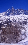 /Ski/2004/Images/1153/File0033Icon.jpg