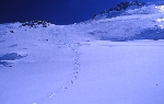 /Ski/2004/Images/1158/File0013Icon.jpg