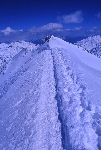 /Ski/2004/Images/1158/File0017Icon.jpg