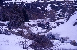 /Ski/2004/Images/1158/File0022Icon.jpg