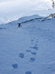 /Ski/2004/Images/1168/GdDomenon012Icon.JPG