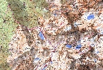 /Ski/2004/Images/1168/GdDomenon050Icon.jpg