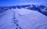 /Ski/2004/Images/1175/File0032Icon.jpg