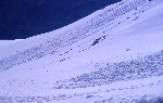 /Ski/2004/Images/1175/File0055Icon.jpg