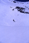 /Ski/2004/Images/1175/File0057Icon.jpg