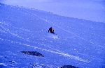 /Ski/2004/Images/1177/File0013Icon.jpg