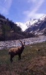 /Ski/2004/Images/1178/File0023Icon.jpg