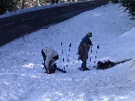 /Ski/2004/Images/1186/Image001Icon.JPG