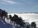 /Ski/2004/Images/1186/Image018Icon.JPG